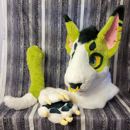 Punk Bull Terrier, Pre-made '24